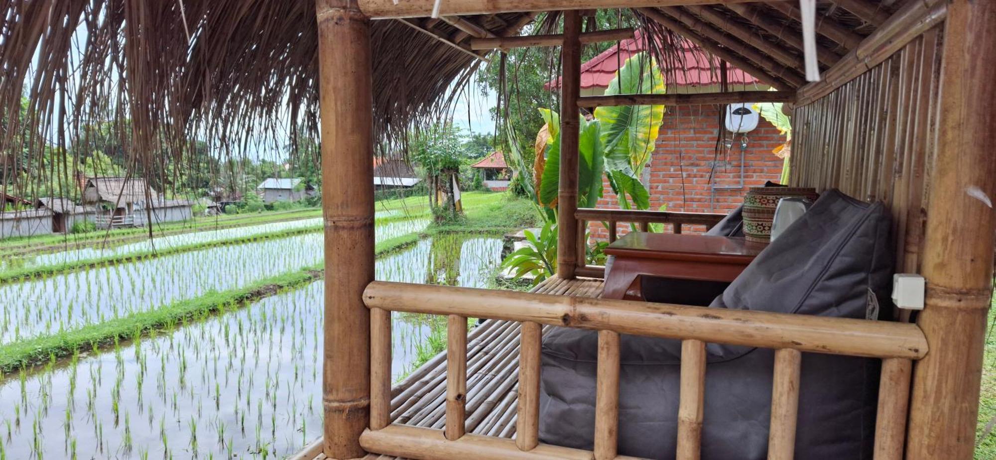 Uma Nirmala Aling-Aling Hotell Singaraja Exteriör bild