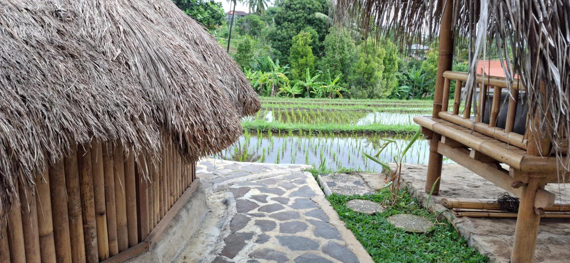 Uma Nirmala Aling-Aling Hotell Singaraja Exteriör bild