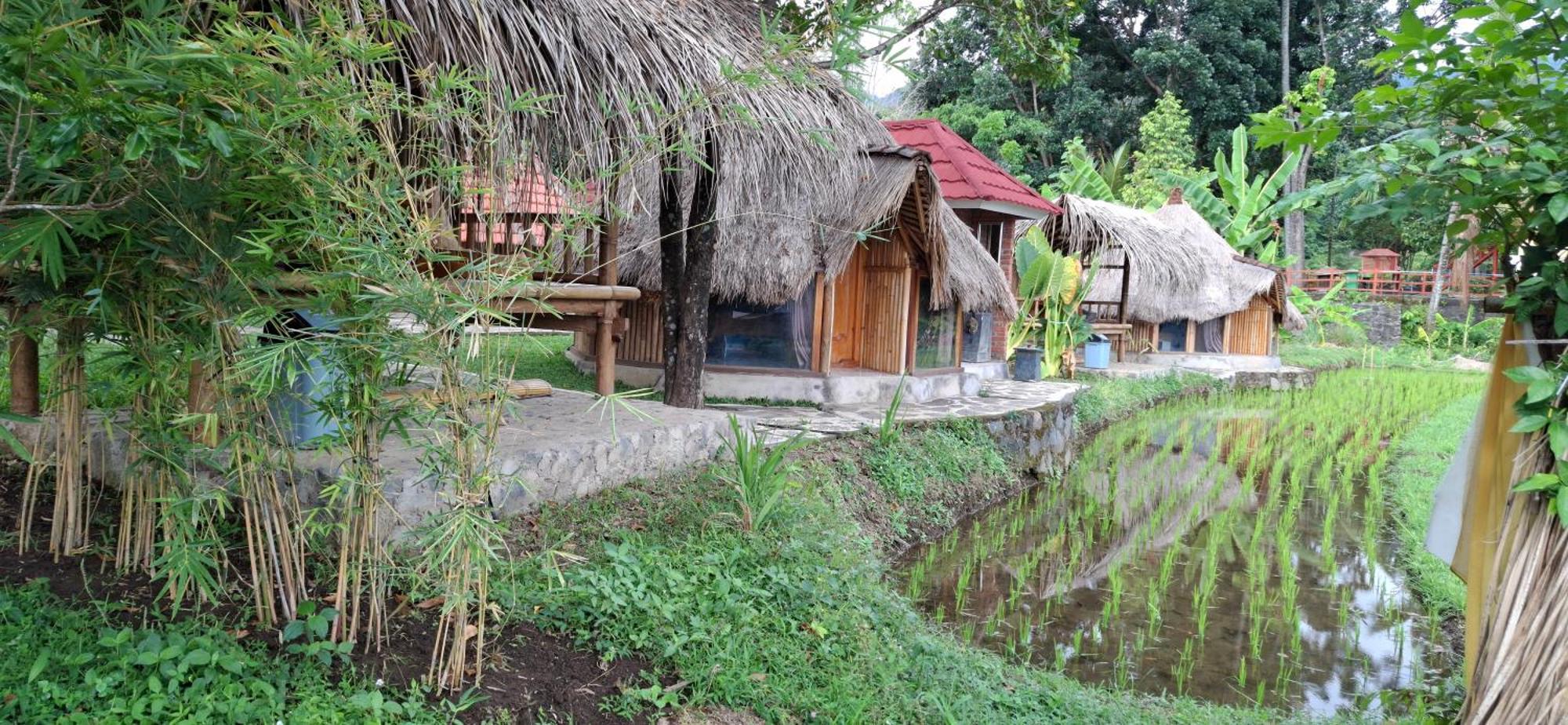 Uma Nirmala Aling-Aling Hotell Singaraja Exteriör bild